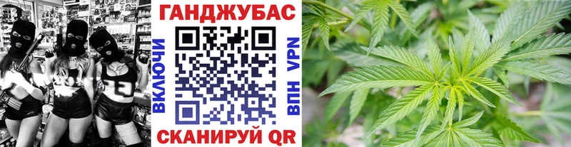 Бошки марихуана сатива  Волхов 